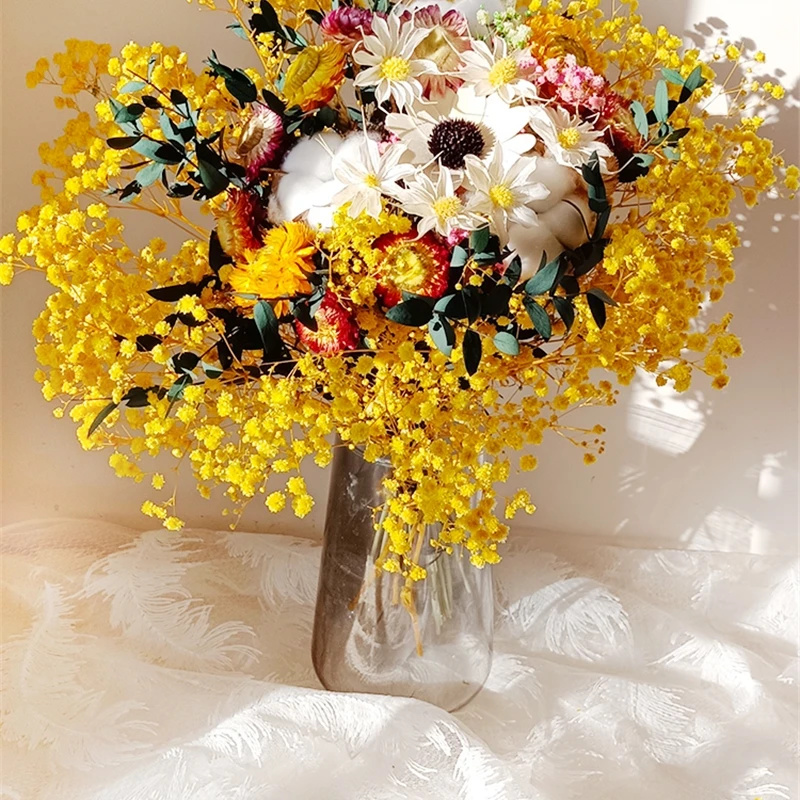 Baby Breath Dried - Fiore secco naturale Gypsophila Bouquet fresco