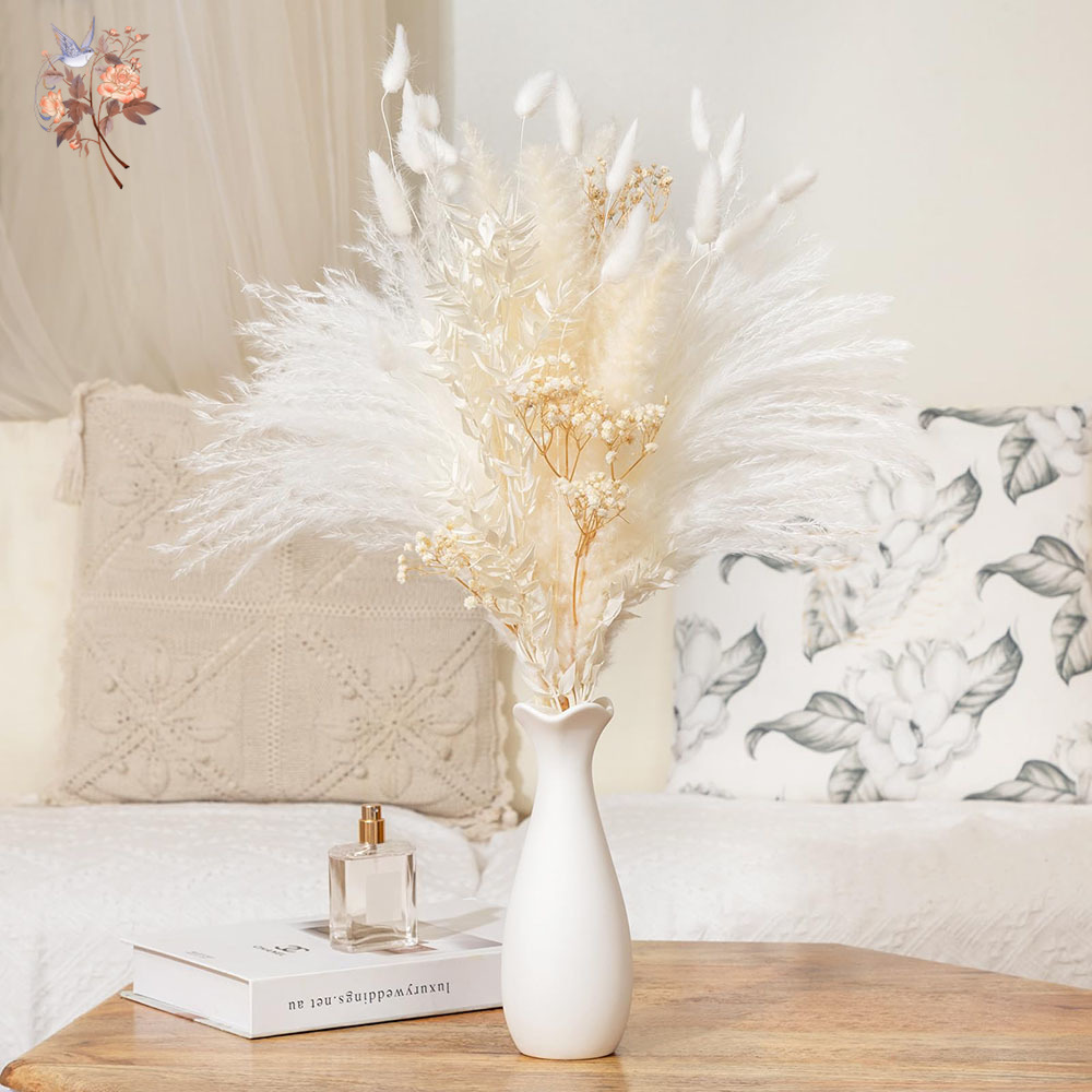 Baby Breath Dried - 40 pezzi di bouquet di fiori