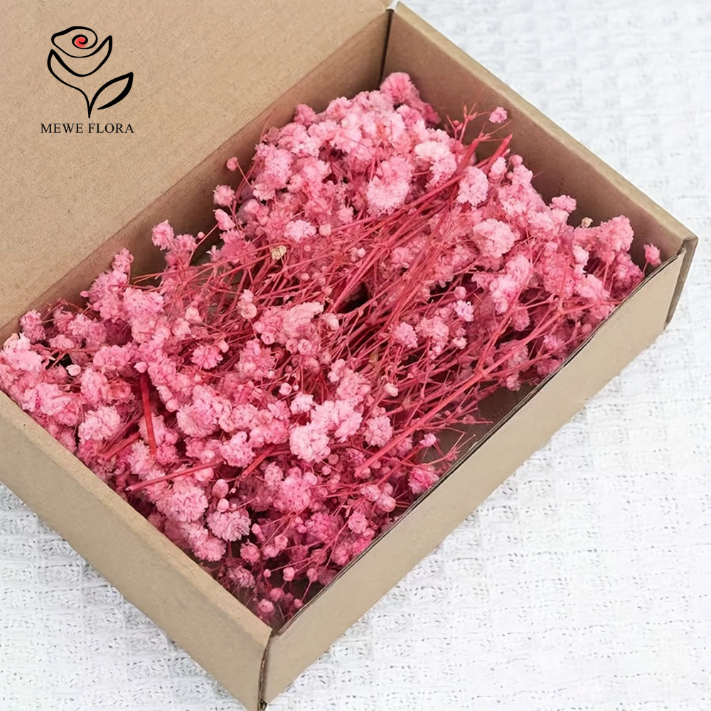 Baby Breath Dried - 100 piccoli rami secchi alito del