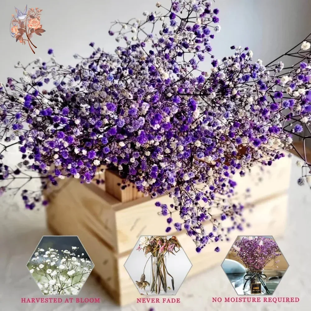 Real Touch Gypsophile viola 80 - Baby Breath Dried recensione e prezzo