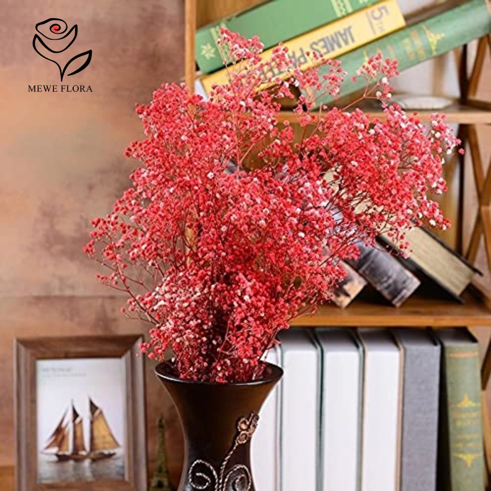 Bouquet di fiori secchi per il - Baby Breath Dried recensione e prezzo