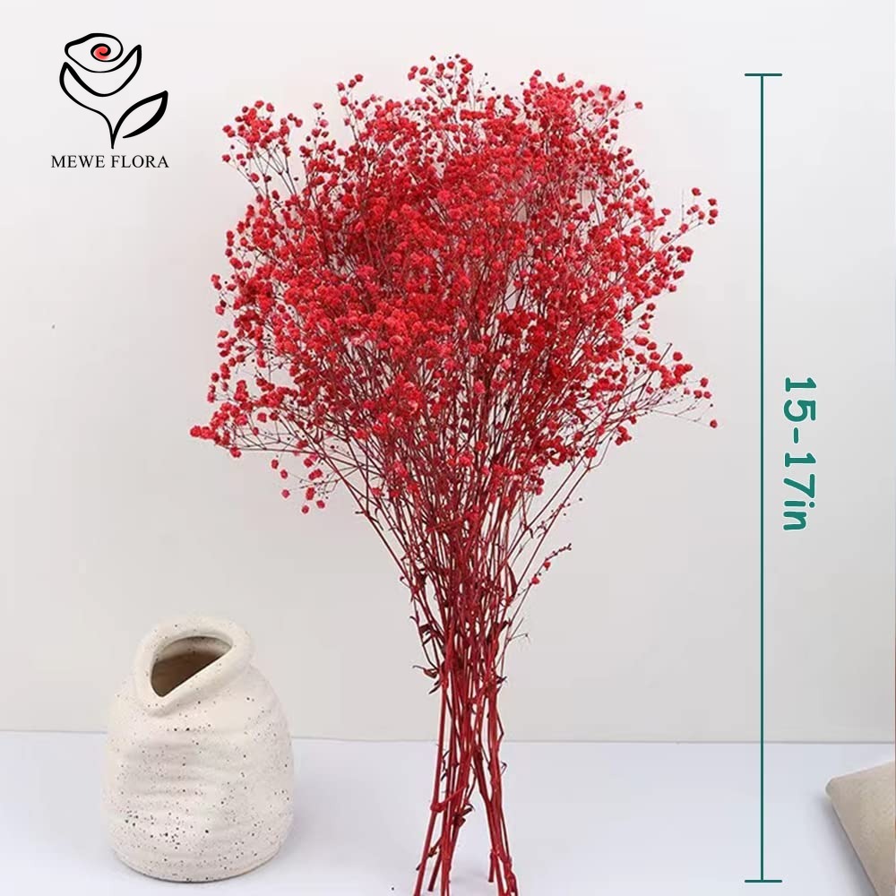 Bouquet di fiori secchi per il - Baby Breath Dried recensione e prezzo