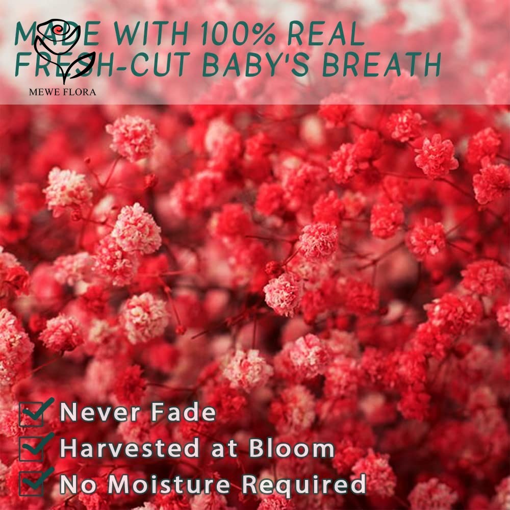 Bouquet di fiori secchi per il - Baby Breath Dried recensione e prezzo