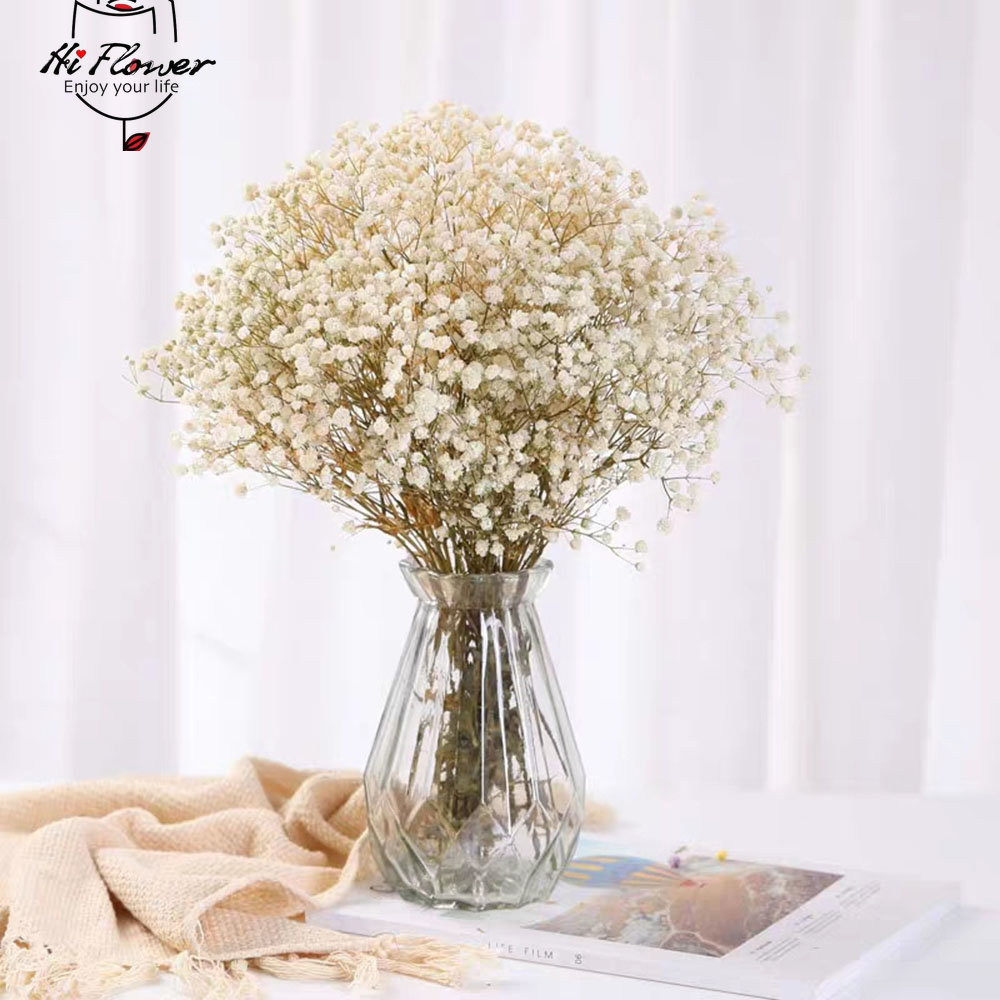 Fiori secchi naturali conserva - Baby Breath Dried recensione e prezzo
