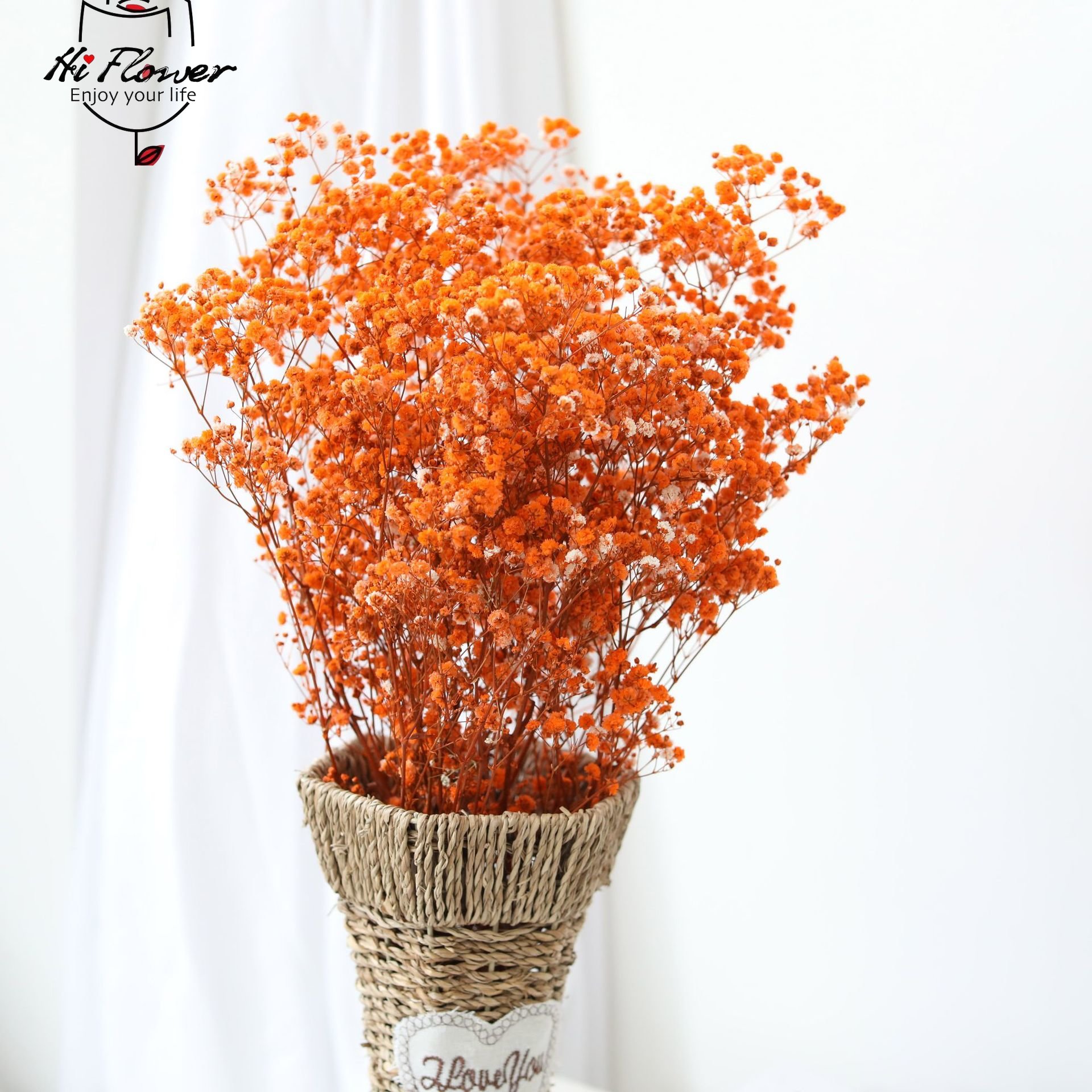 Fiori secchi naturali conserva - Baby Breath Dried recensione e prezzo