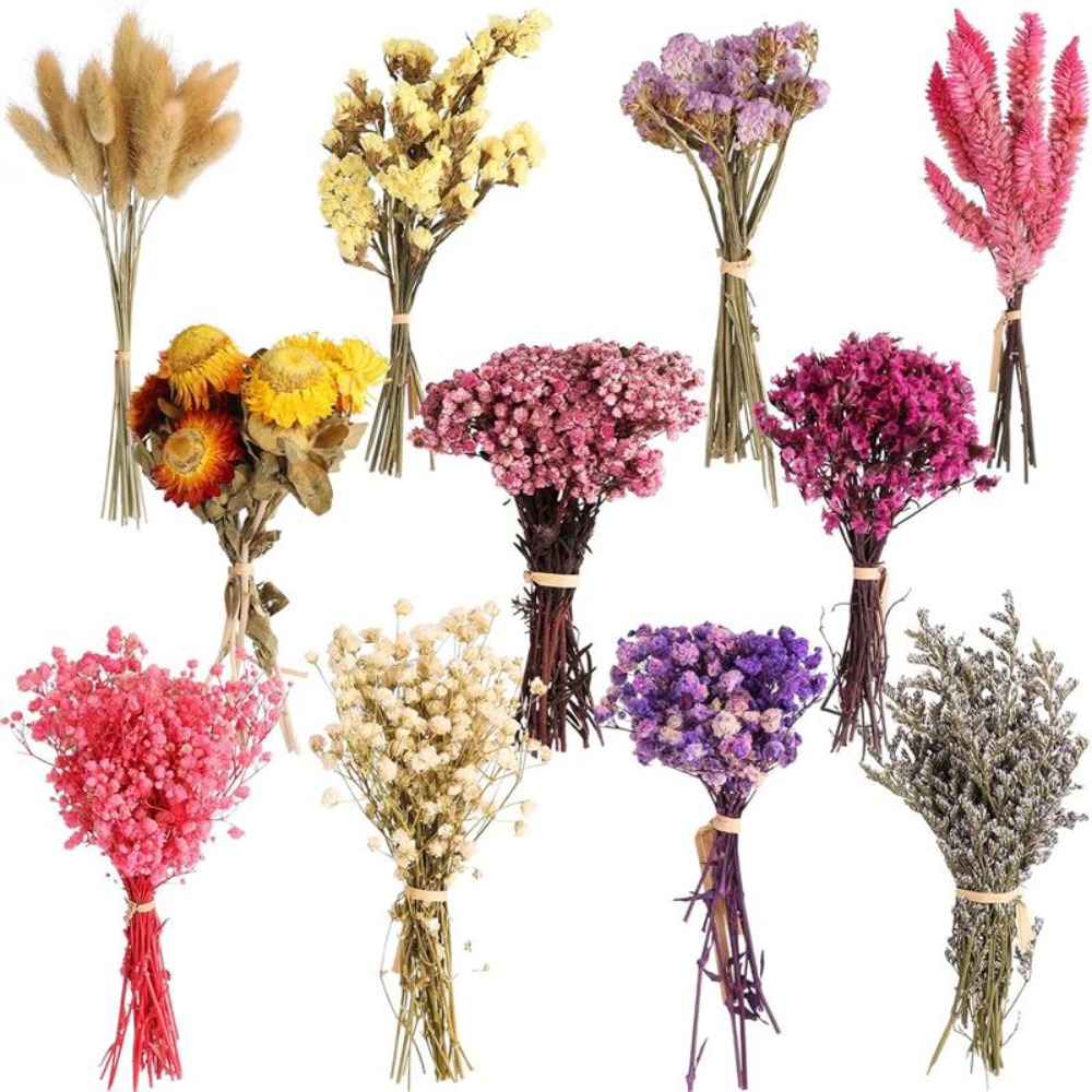 Kit Fai-da-Te per Mini Bouquet - Baby Breath Dried recensione e prezzo
