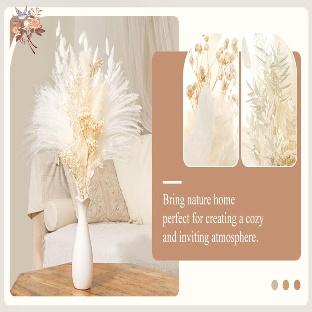 40 pezzi di bouquet di fiori s - Baby Breath Dried recensione e prezzo