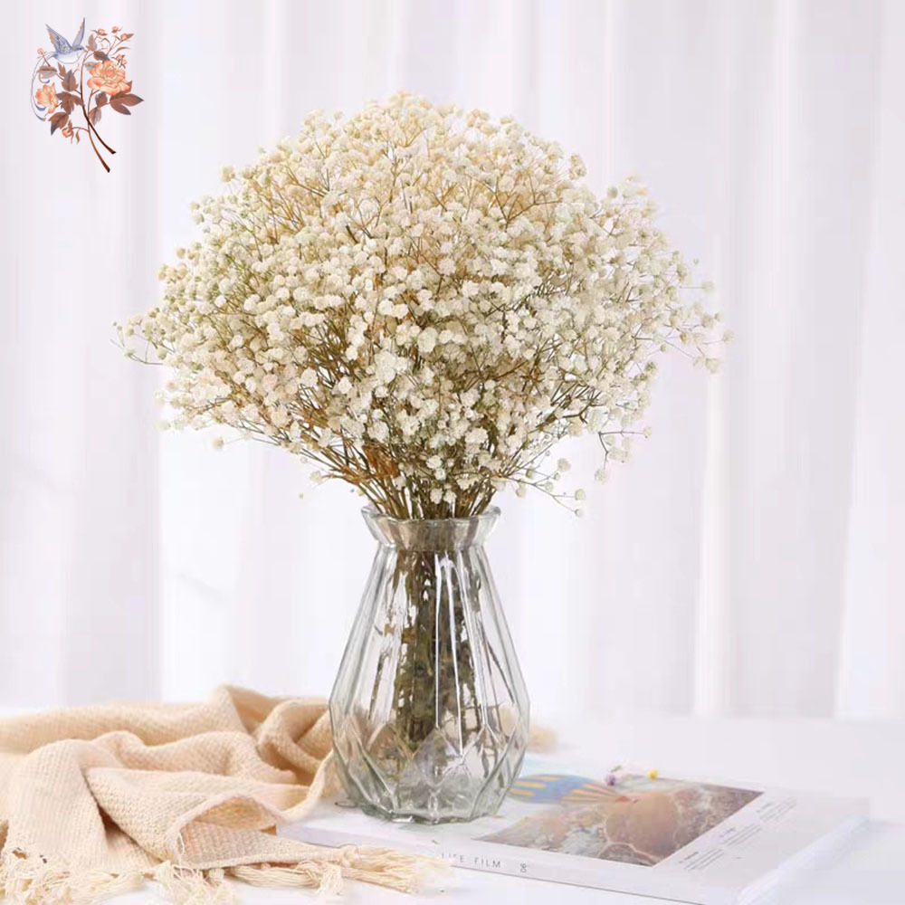 60g Bouquet di fiori secchi pe - Baby Breath Dried recensione e prezzo