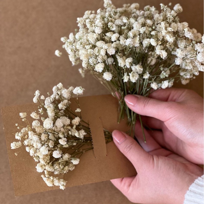 50 pezzi, 100 pezzi, gipsofila - Baby Breath Dried recensione e prezzo