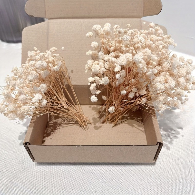 50 pezzi, 100 pezzi, gipsofila - Baby Breath Dried recensione e prezzo