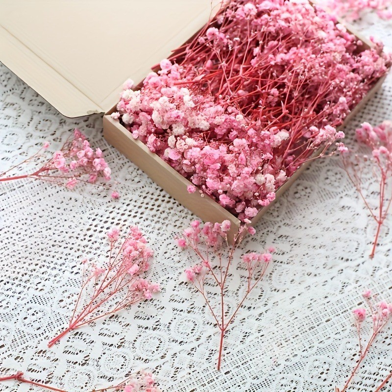 50 pezzi, 100 pezzi, gipsofila - Baby Breath Dried recensione e prezzo