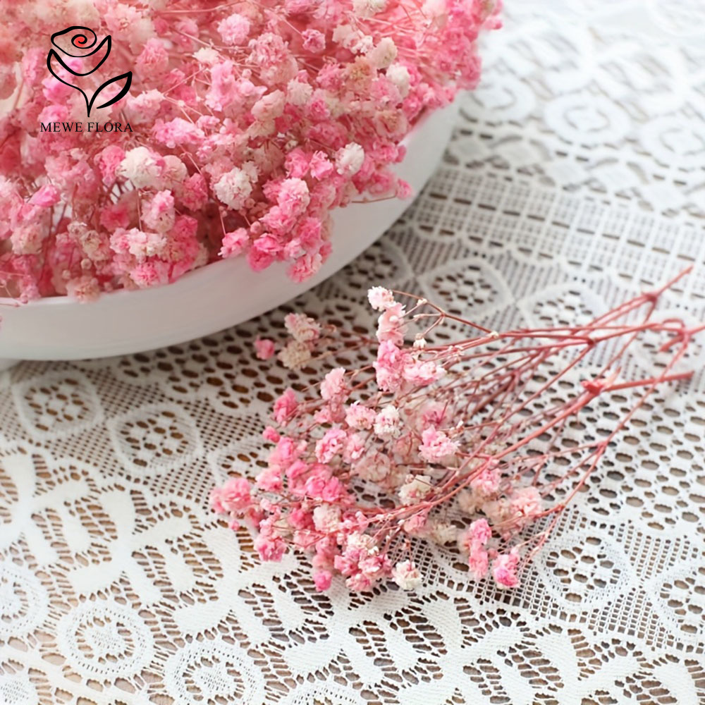100 piccoli rami secchi alito  - Baby Breath Dried recensione e prezzo